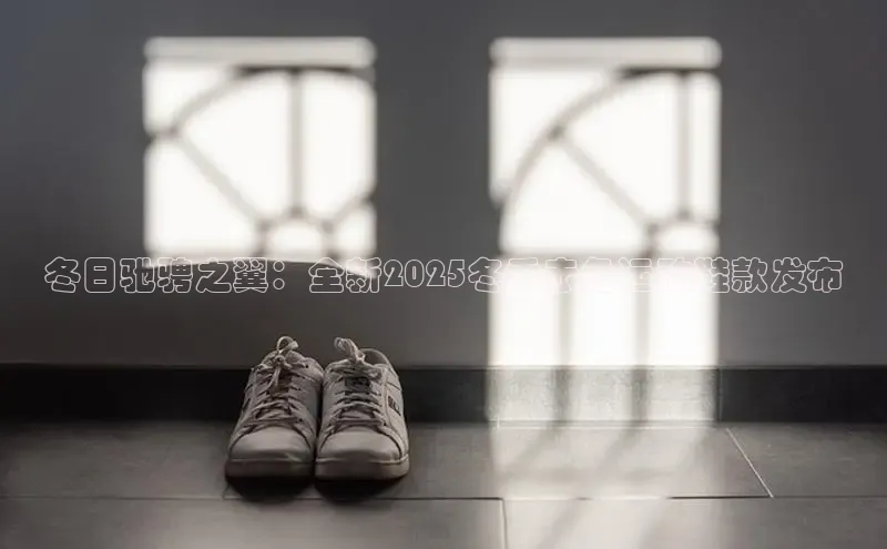 冬日驰骋之翼：全新2025冬季赤兔运动鞋款发布